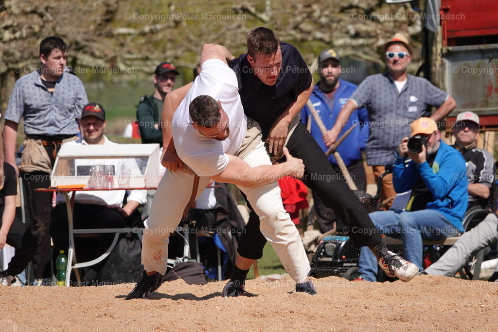 DSC02326 | Schwingen - Realisiert mit Pictrs.com