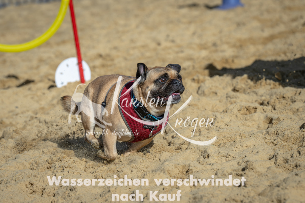 1115_ZZ90830 | kk-dogfotos