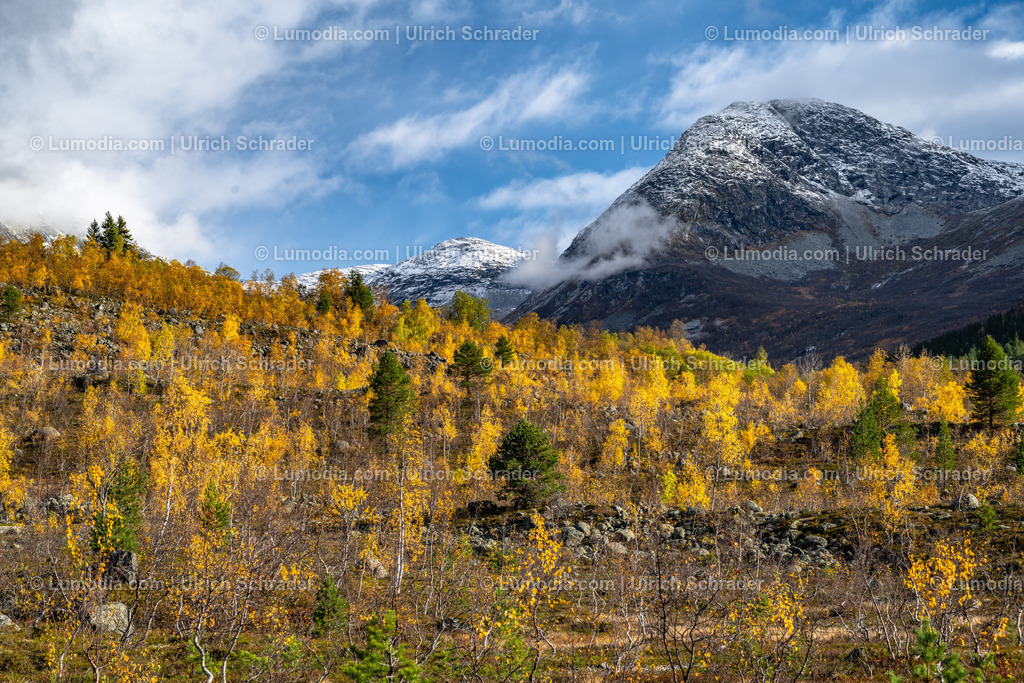 10047-10055 - Am Jostedalsbreen - Norwegen | Stockfoto und Bilderpool mit Bildmaterial aus Deutschland, dem Harz, Halberstadt, Quedlinburg, Wernigerode und weltweit. Qualitativ hochwertige und professionelle Fotos anschauen und kaufen. - Realisiert mit Pictrs.com