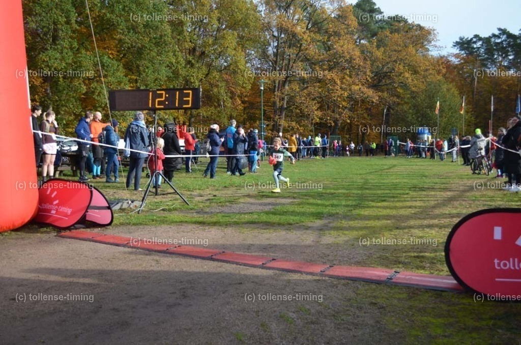 TTT_9368 | Foto | tollense-timing - Realisiert mit Pictrs.com