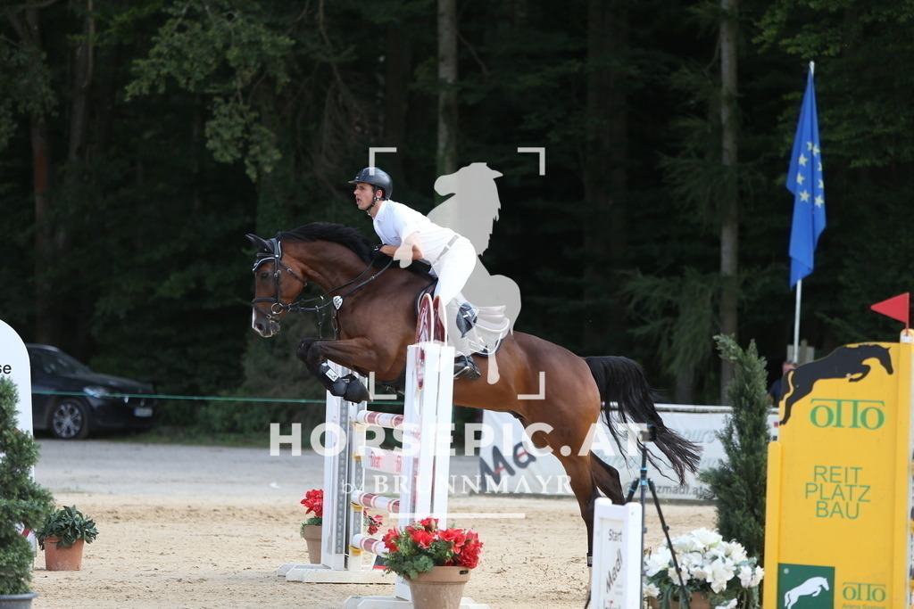 DL2Q4994 | Willkommen bei Brunnmayr - Design & Fotografie – Ihrem Spezialisten für Reitturniere und Pferdeveranstaltungen in Oberösterreich, Salzburg und Bayern! Seit über 17 Jahren sind wir leidenschaftlich dabei.