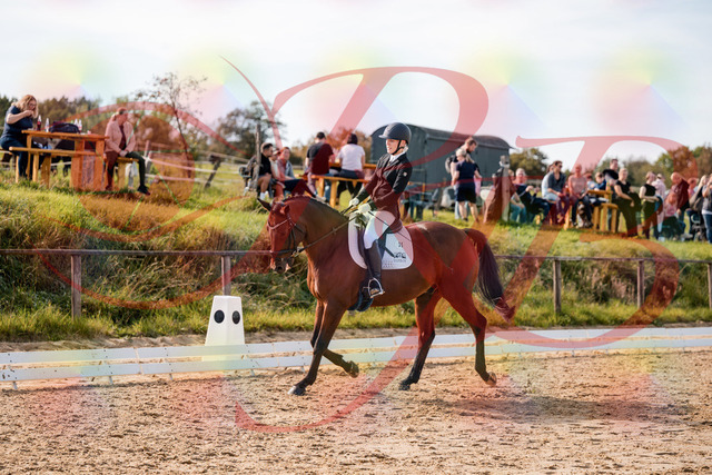 2026_10_03_Siefer-Hof_131003_Z63_72139469 | Professionelle Reitsport-, Turnier- und Eventfotografie von Robert Broda. Galerien mit ausgewählten und bearbeiteten Bildern direkt online ansehen und bestellen.