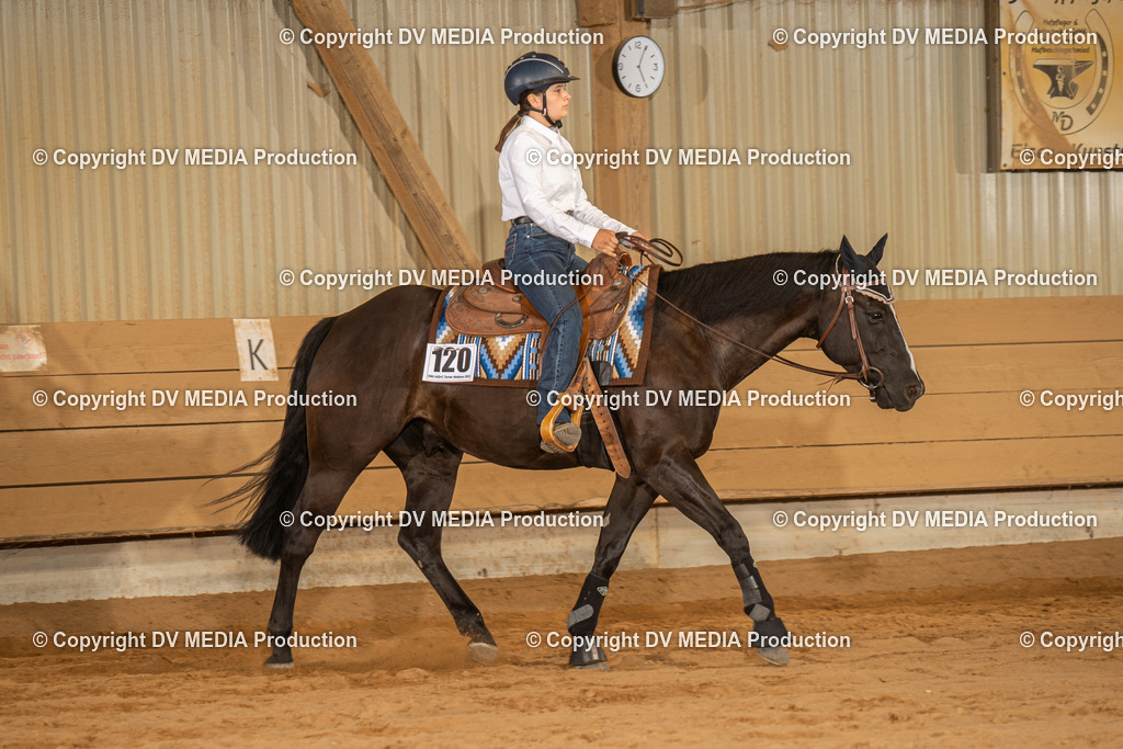 NID03698 | dv-media-shop - Realisiert mit Pictrs.com