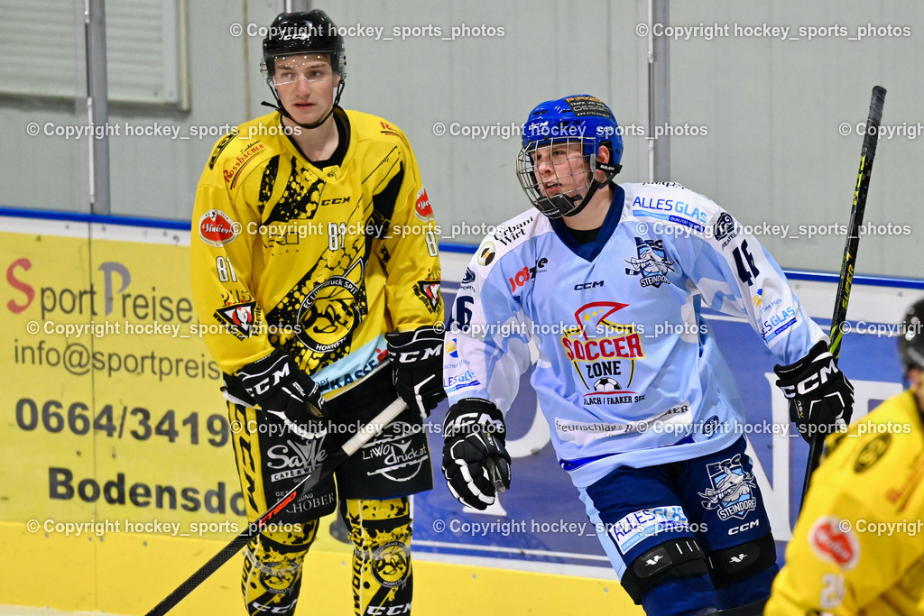 ESC Steindorf vs. EC Spittal Hornets 3.12.2022 | #81 Sivec Peter Paul, #46 Maurer Julian