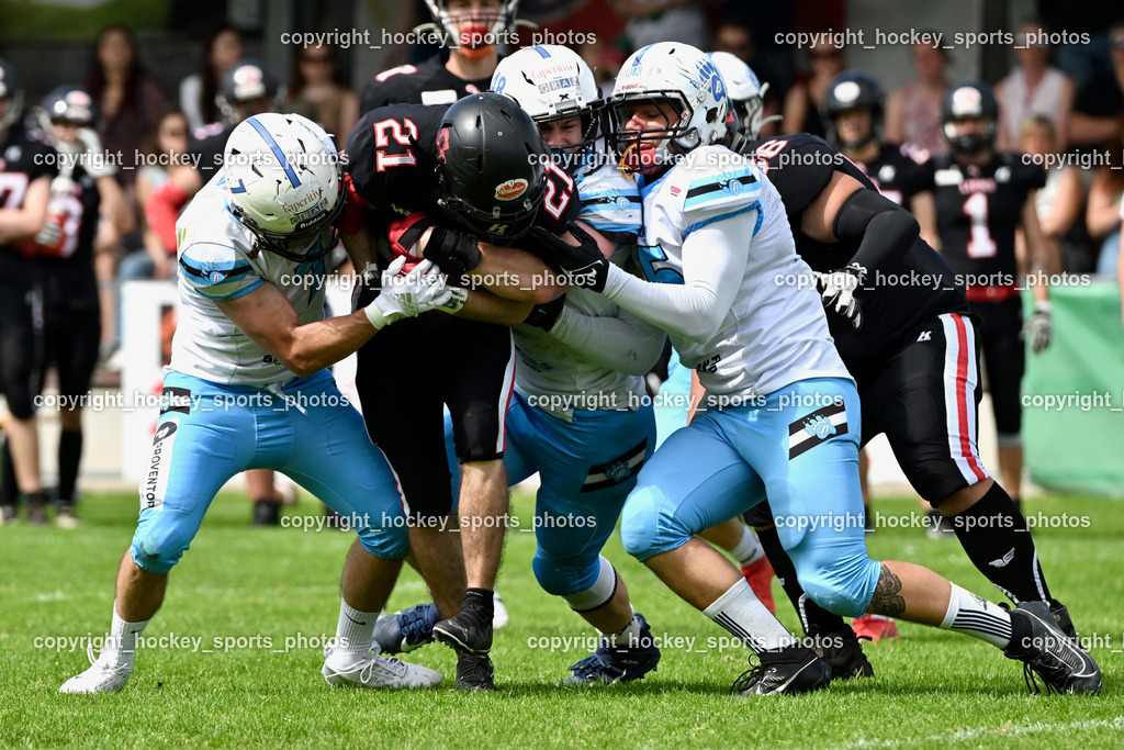 Carinthian Lions vs. Styrian Bears | Carinthian Lions vs. Styrian Bears, Carinthian Lions vs. Styrian Bears am 20.05.2024 in Klagenfurt (ASV Sportplatz), Austria, (Photo by Bernd Stefan)