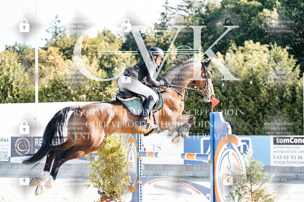 CK904132 | Turnierfotografie Pferdefotografie Trier Rheinland-Pfalz Pferdesport Reitsport Tierfotografie Sportfotografie Pferdevideo Pferdevideografie Equestrianvideography equestrianphotography  - Realisiert mit Pictrs.com