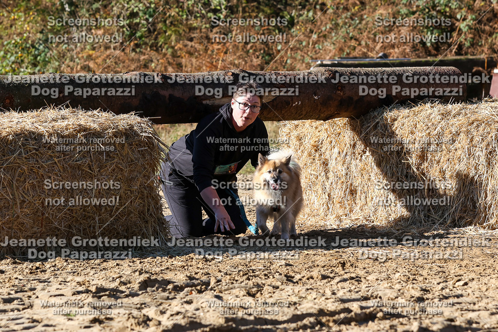 Dog Paparazzi - Strongdog 10-25-2461 | Dog Paparazzi Jeanette Grottendiek Fotografie & Videografie - Realisiert mit Pictrs.com