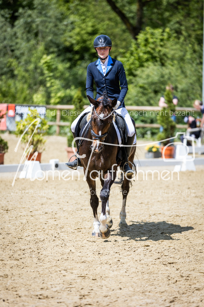 Donop24-EDre-014 | MomenTaufnahmen Pferdesportfotos