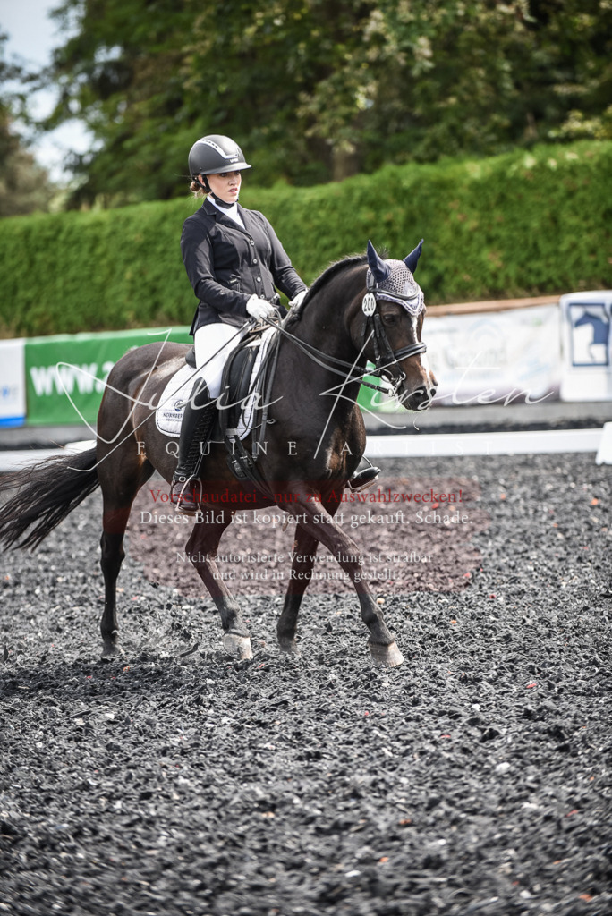 DSC_5084 | Pferde- und Turnierfotografie in Westsachsen. Pferdeportraits, Auftragszeichnungen und intuitive Kunst.