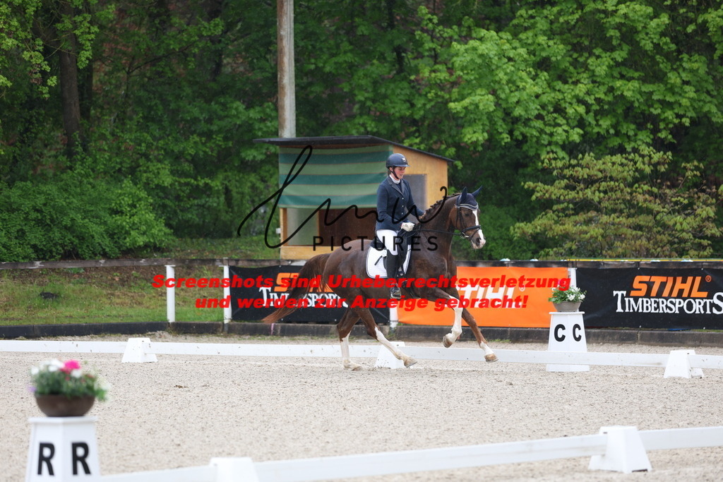 A40A7307 | lmwpictures - Realisiert mit Pictrs.com