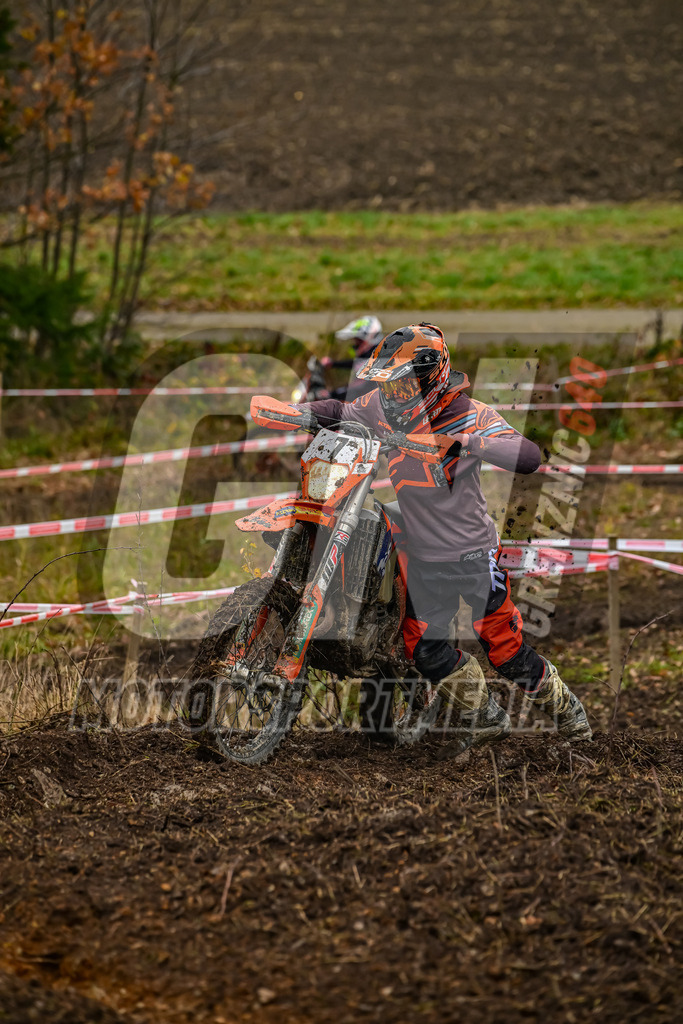 NZ8_5162 | grenznic640