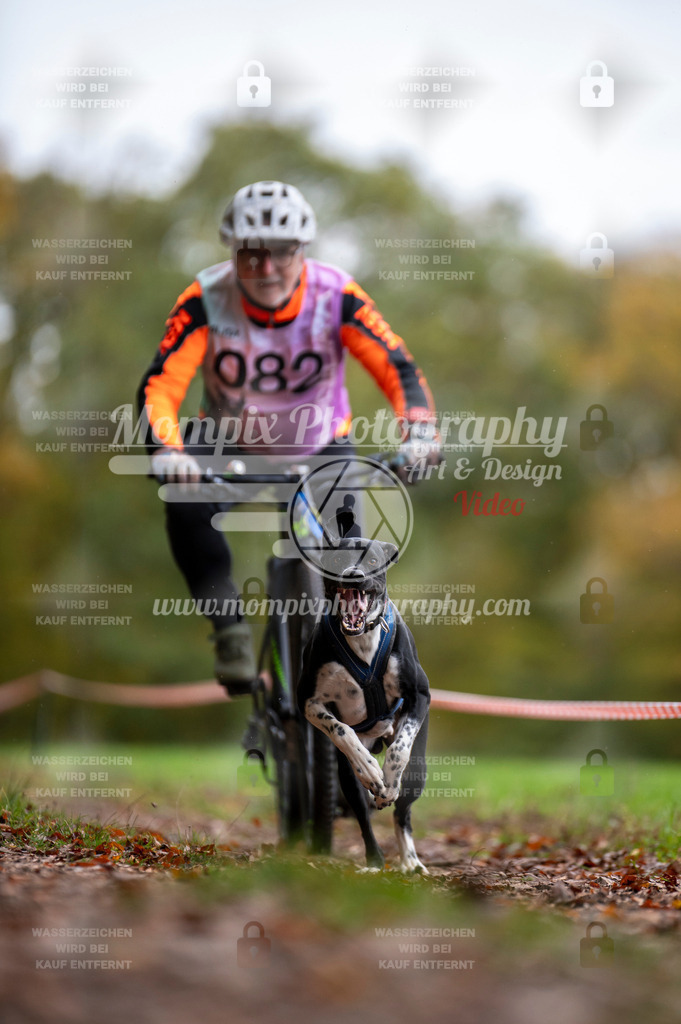 DBT_DAKM_SA_4_11_2023_Bike-85 | PayLife