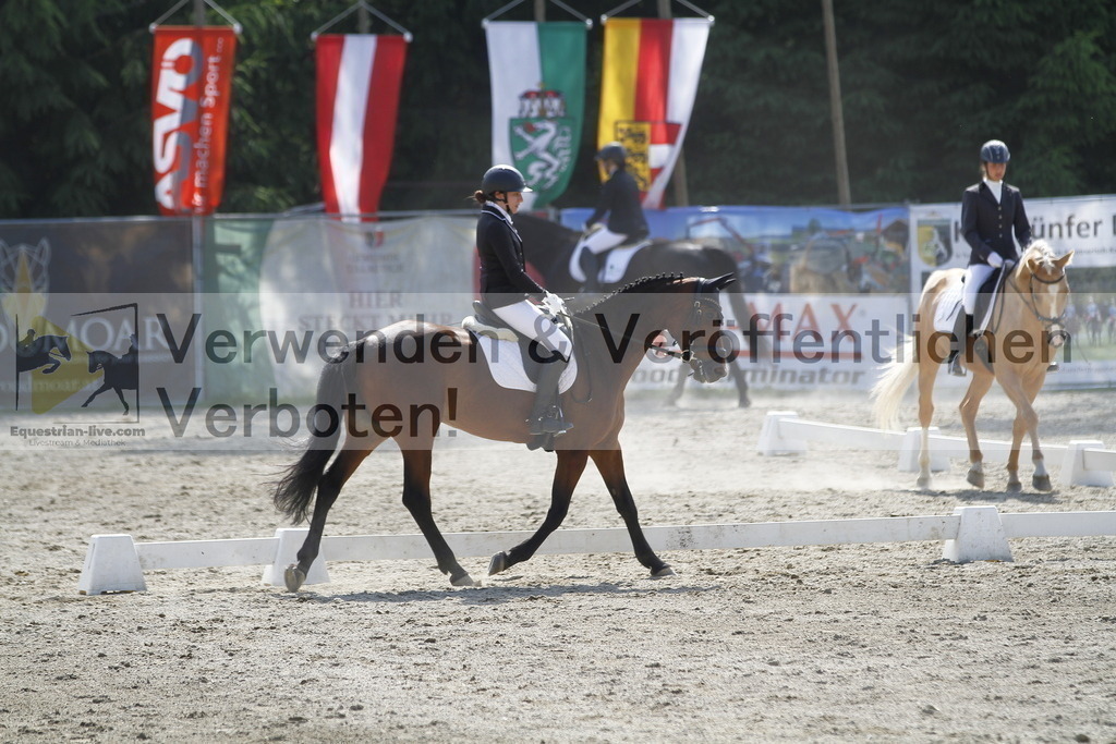 _MG_2136 | equestrian-live-com