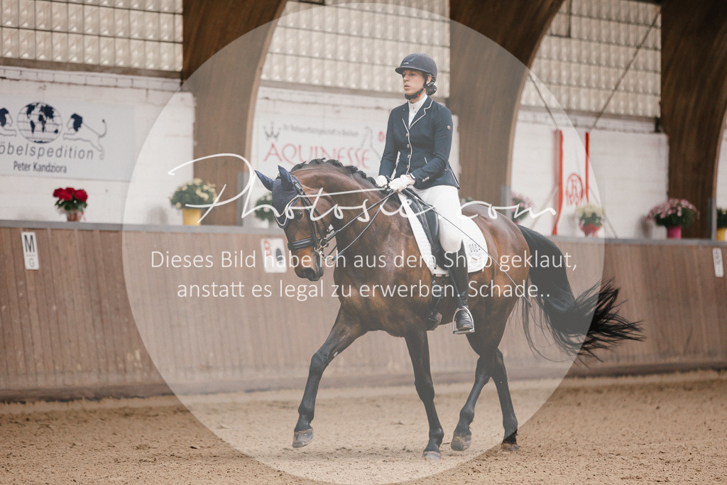 3I6A8772 | Stimmungsvolle Portraits und Reitsportfotografie im Ruhrgebiet und im Münsterland.

Pferdefotografie, Hundefotografie, Tierfotografie, Reportagen, Portraits von Tier und Mensch, Turnierfotografie in Bochum, Recklinghausen, Marl, Haltern am See, Dülmen.. - Realisiert mit Pictrs.com