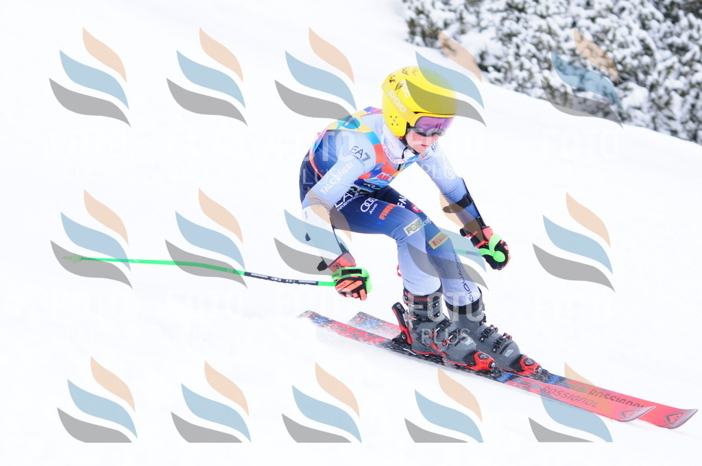 C3957 | holidayphoto