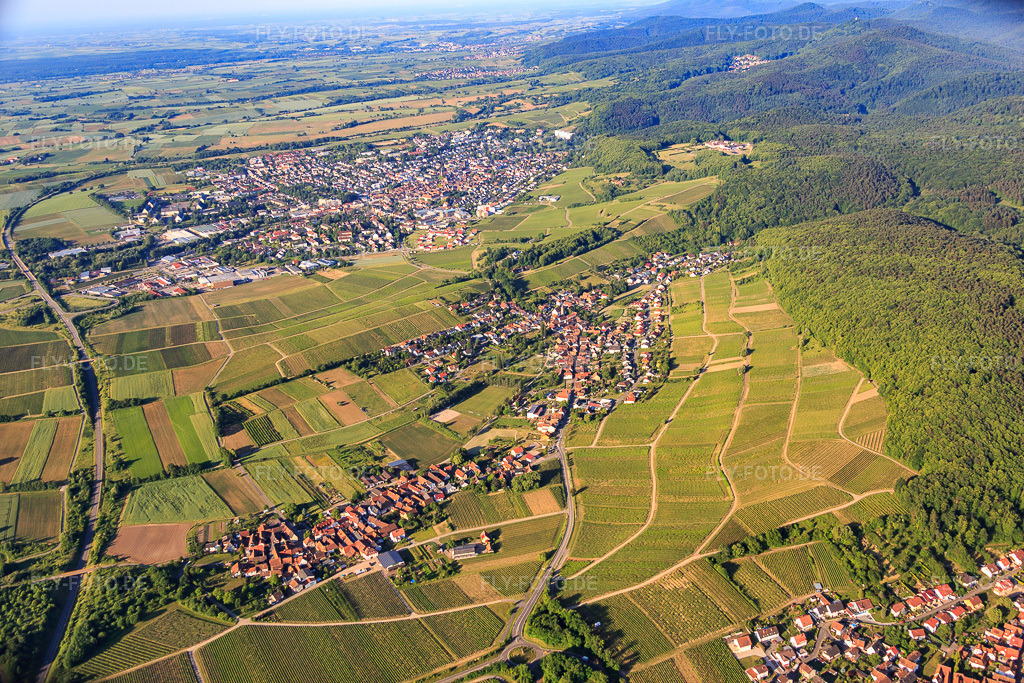 Luftbild: Ortsansicht aus Norden im Ortsteil Pleisweiler in Pleisweiler-Oberhofen im Bundesland Rheinland-Pfalz in Deutschland. Foto: IMG_079994.jpg vom 05.06.2015 durch Werner Riehm/FLY-FOTO.de