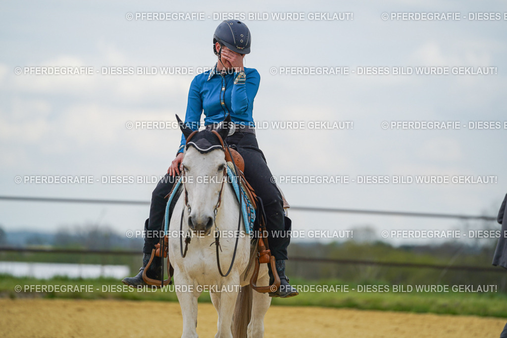 DSC06732 | Pferdegrafie