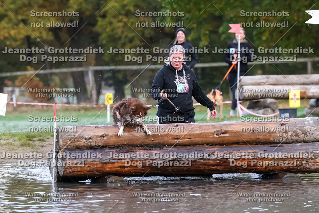 Dog Paparazzi - Strongdog 10-25-6292 | Dog Paparazzi Jeanette Grottendiek Fotografie & Videografie - Realisiert mit Pictrs.com