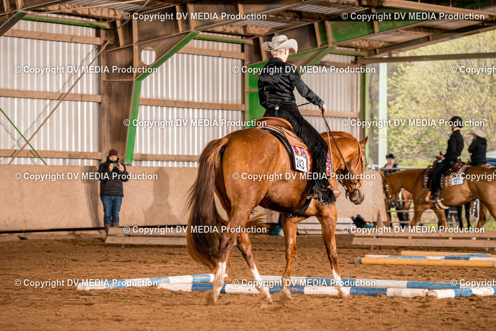 BA300307 | dv-media-shop - Realisiert mit Pictrs.com