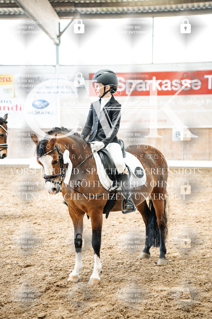 CK703120 | Turnierfotografie Pferdefotografie Trier Rheinland-Pfalz Pferdesport Reitsport Tierfotografie Sportfotografie Pferdevideo Pferdevideografie Equestrianvideography equestrianphotography  - Realisiert mit Pictrs.com