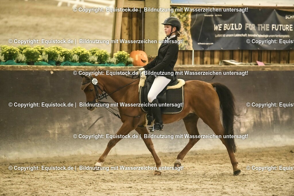 20231029_04_Dressur-WB_0314 | Foto: Thomas Hartig