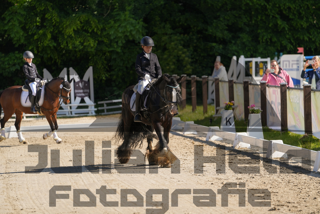 DSC02934 | Julian Held Fotografie - Realisiert mit Pictrs.com