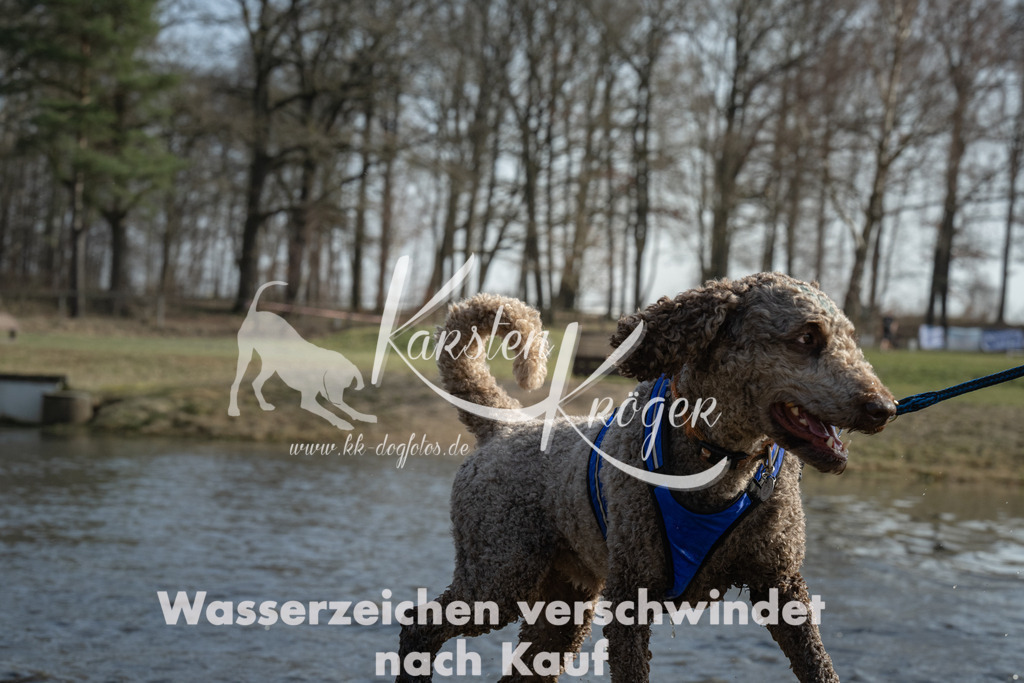 1334_ZZ97290 | kk-dogfotos