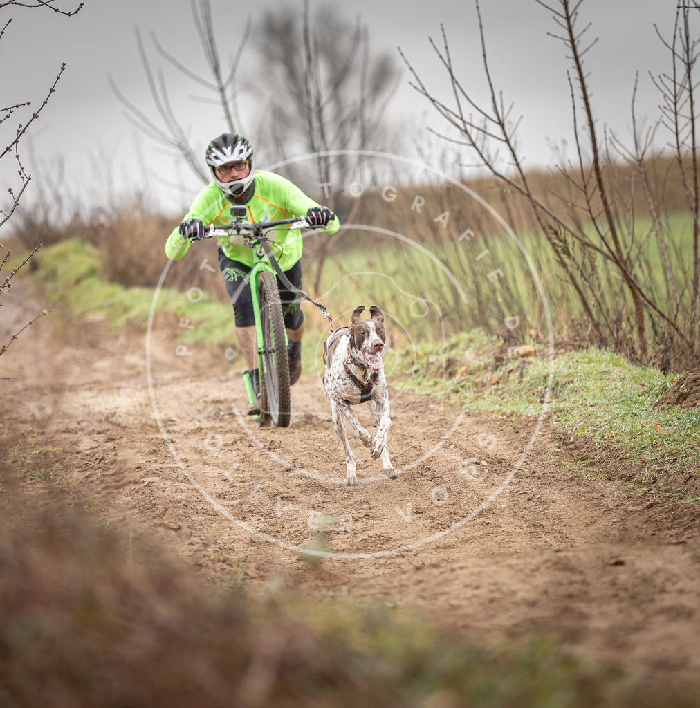 DV3A9220 | Hundefotografie, Tierfotograf, Pfotenfotografie, Fotoshooting Hund, Hunde Portrait, Hundesport, Hundeportraits, Heideshooting, Hunde, Sportfotograf, Hundefotograf, Turnierhundsport, THS,  - Realisiert mit Pictrs.com