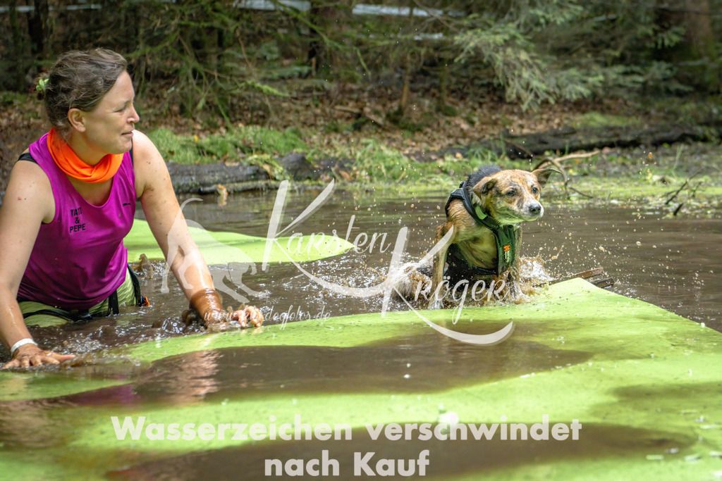 1517_ZZ90169-Bearbeitet | kk-dogfotos