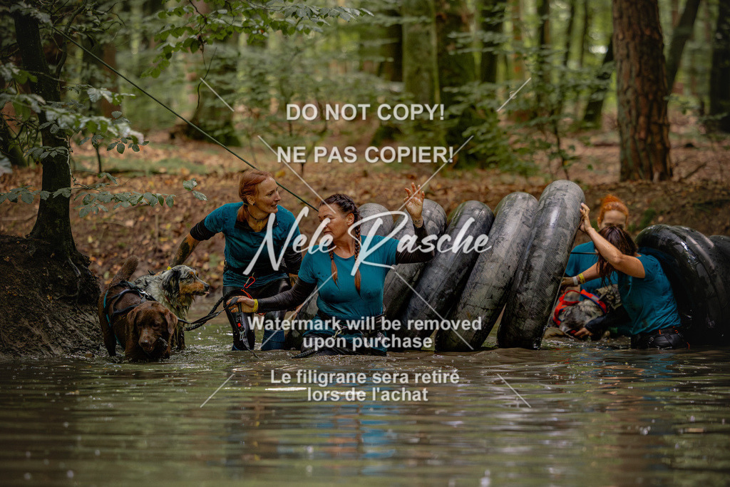 nelerasche_Wingst25Sa1500-1530_165 | nelerasche