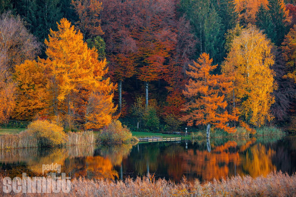 Karsee im Herbst im Allgäu | Der Karsee im Allgäu zeigt sich im Herbst von seiner farbenfrohen Seite. Bunte Bäume und die ruhige Wasserfläche verleihen der Landschaft eine besondere Stimmung. - Realisiert mit Pictrs.com