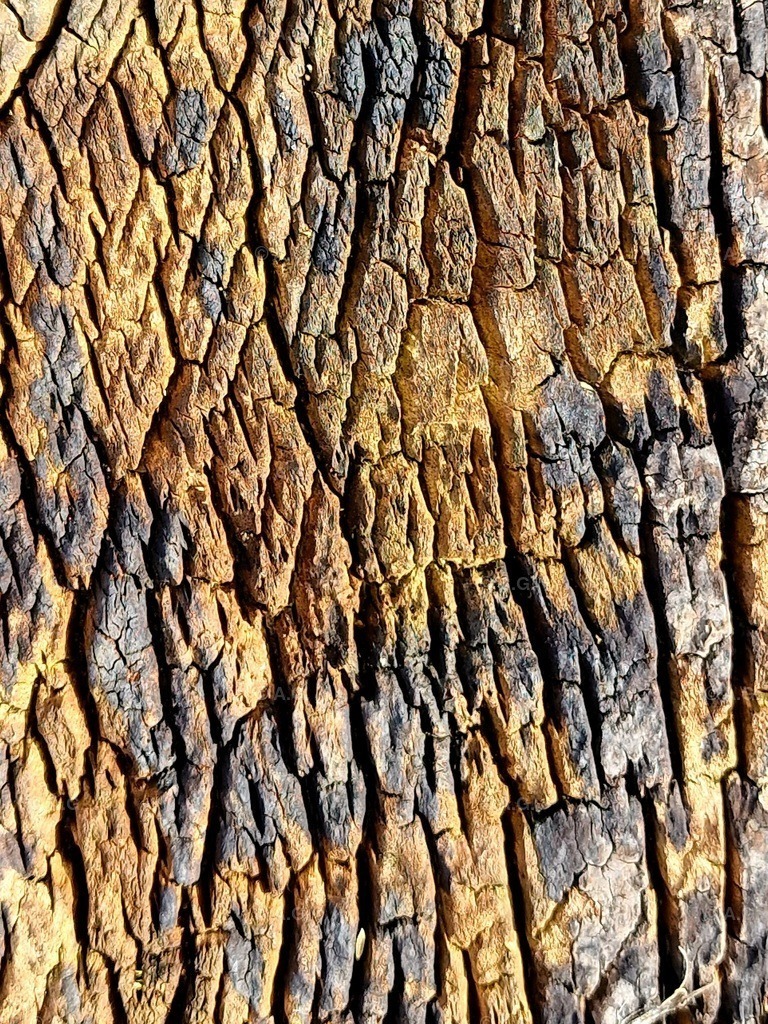 20220413_162011 | aileen-glaeser - Realisiert mit Pictrs.com