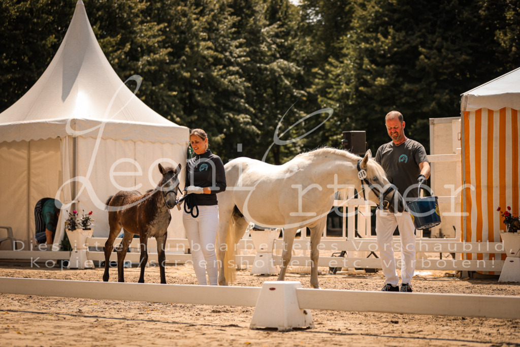 02.DoSR00210 | Leoni Ertmer Photography - Realisiert mit Pictrs.com