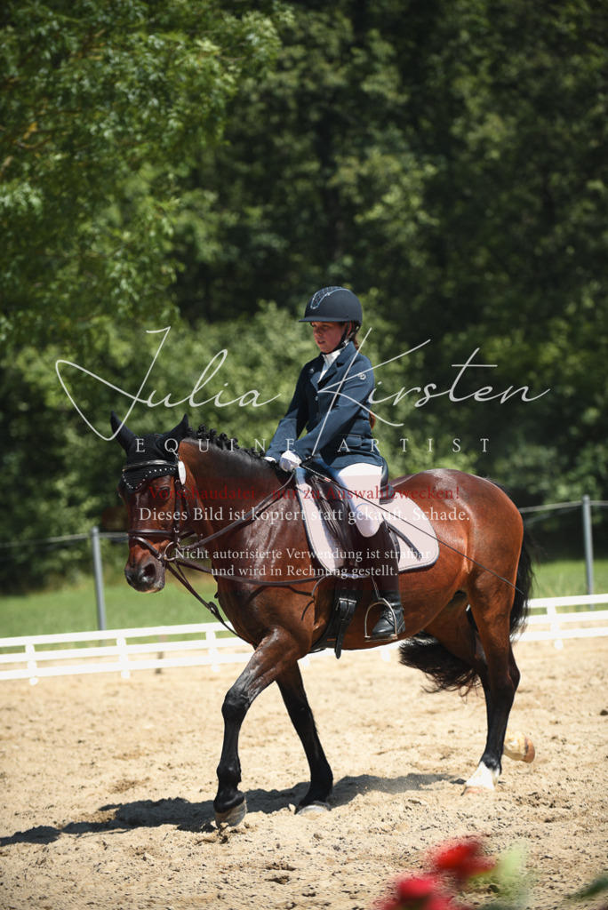 DSC_2208 | Pferde- und Turnierfotografie in Westsachsen. Pferdeportraits, Auftragszeichnungen und intuitive Kunst.