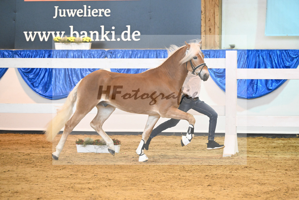 Kat-Nr. 10 nn v. Bugatti_Obermeyer_60220120 | hf-fotografie - Realisiert mit Pictrs.com