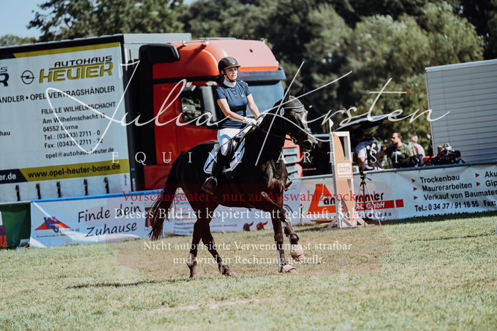 DSC_6633 | Pferde- und Turnierfotografie in Westsachsen. Pferdeportraits, Auftragszeichnungen und intuitive Kunst.