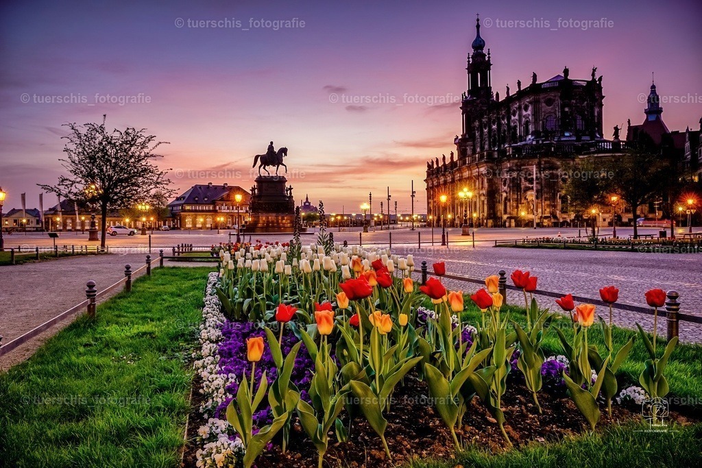 _DSC8241-01 | tuerschis_fotografie - Realisiert mit Pictrs.com