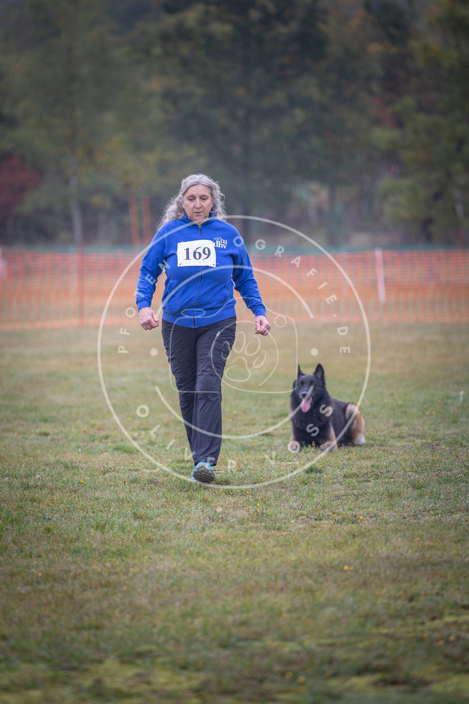Pfotenfotografie_DV3A9088 | Hundefotografie, Tierfotograf, Pfotenfotografie, Fotoshooting Hund, Hunde Portrait, Hundesport, Hundeportraits, Heideshooting, Hunde, Sportfotograf, Hundefotograf, Turnierhundsport, THS,  - Realisiert mit Pictrs.com