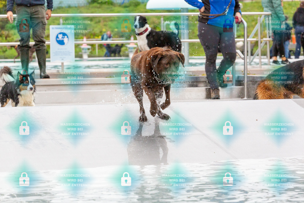 _HP_7448_1000o | HetPix, HetPix Fotodesign, Fotografie, Fotodesign, Webshop, Sportfotografie, Portraitfotografie, Onlineshop, Sportfotografie, Polch, Motorsportfotografie, Eventfotografie