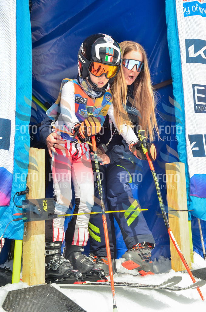 _ELE7055 | holidayphoto