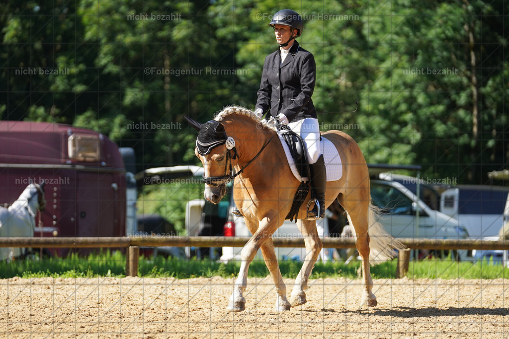 20240706-FAH04778 | Grafing Turnierfotos, Reitverein Ebersberg, Turnierfotografen Bayern, reitsportbilder, Pferdefotograf, reitsportfotograf, Sportbilder, Reitsportfotografie, Fotoagentur Herrmann, Turnierfotograf