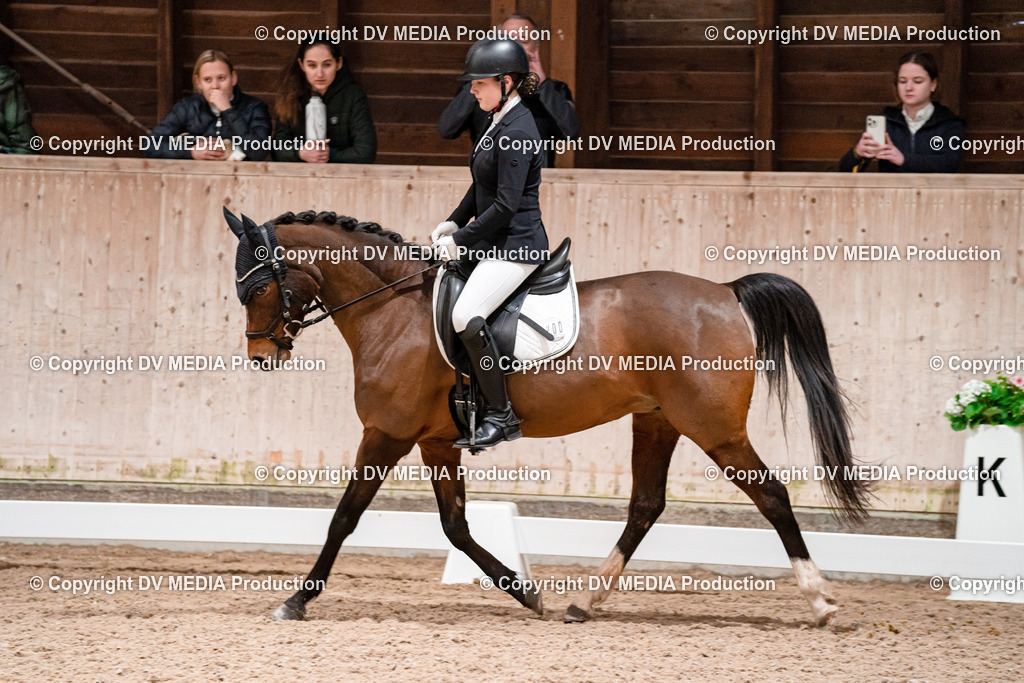 Dressur Tag 2-439 | dv-media-shop - Realisiert mit Pictrs.com