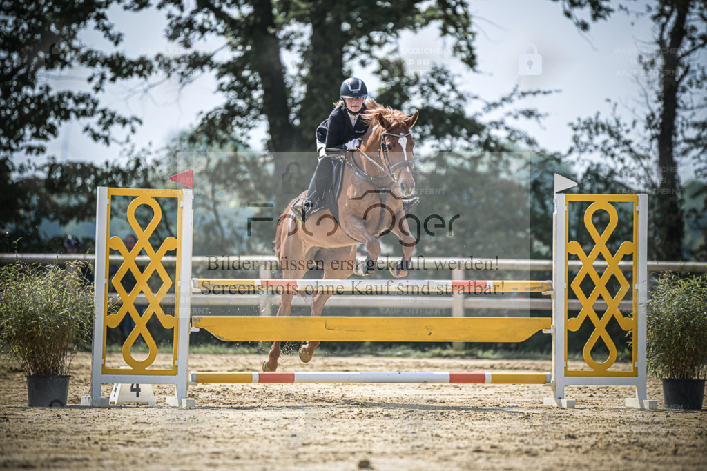 20240509-DOS_8279 | Entdecke hochwertige Reitturnierfotos von Foto Oger. Professionell, emotional und authentisch – jetzt Lieblingsmomente im Shop bestellen. - Realisiert mit Pictrs.com