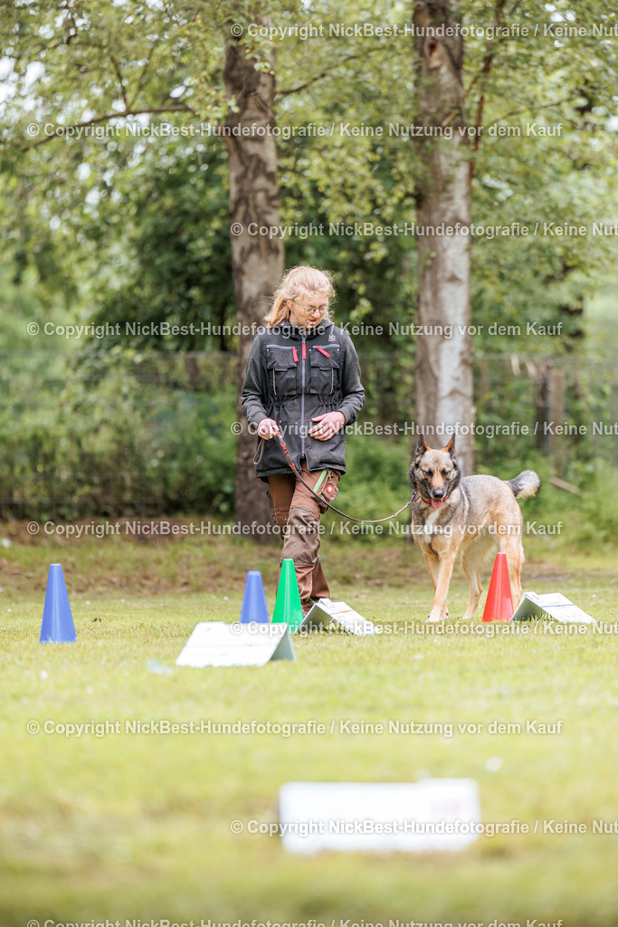 RO-Blumenthal-2026-Nickbest-Hundefotografie-4932 | Dein Hund! Dein Moment! Deine Erinnerungen! Hundefotografie in Bremen Blumenthal. Ich fange die besonderen Momente deines Vierbeiners ein – ob Indoor mit Blitzanlage oder in der freien Natur. Sicher dir dein Moment und dein Termin für eure Erinnerungen.