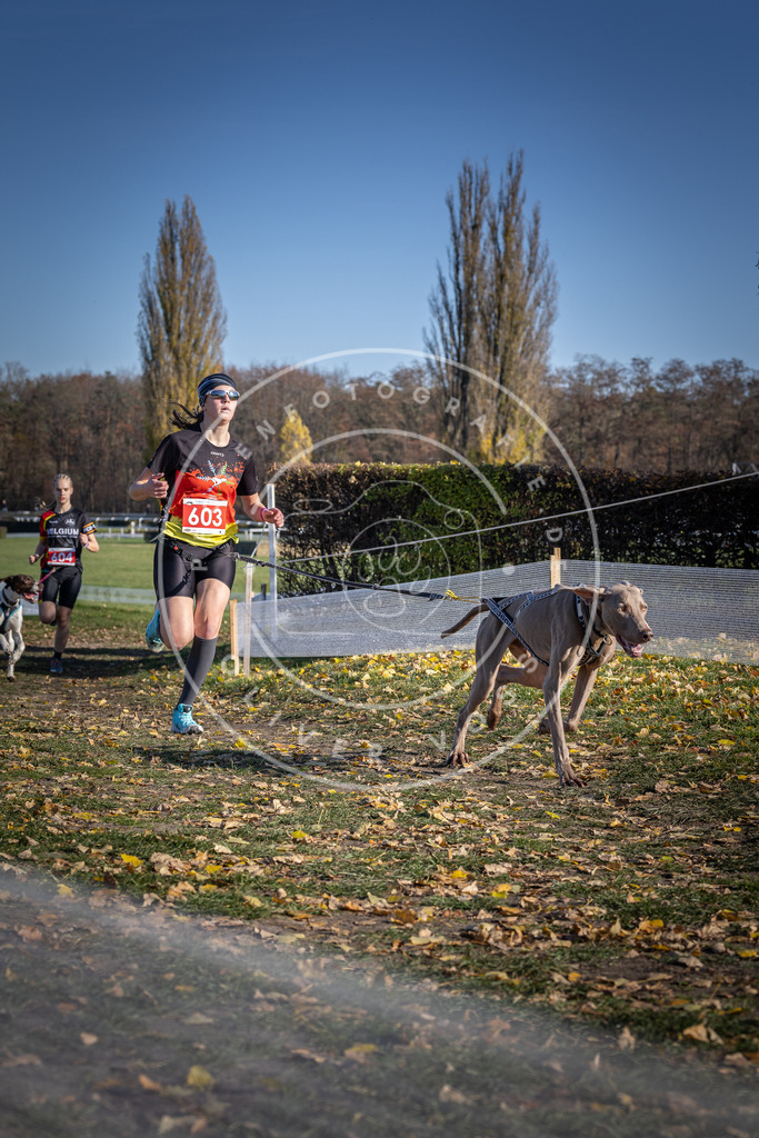 CaniXpix_DV3A9577 | Hundefotografie, Tierfotograf, Pfotenfotografie, Fotoshooting Hund, Hunde Portrait, Hundesport, Hundeportraits, Heideshooting, Hunde, Sportfotograf, Hundefotograf, Turnierhundsport, THS,  - Realisiert mit Pictrs.com