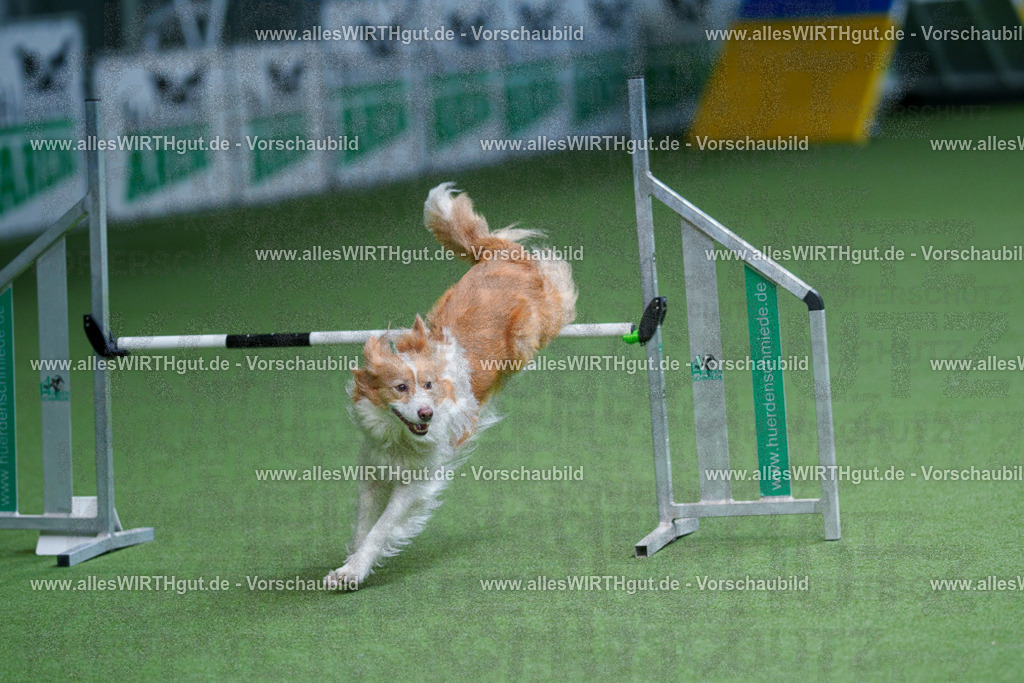 @allesWIRTHgut_Tierfotografie - www.allesWIRTHgut.de - 2604260920-7R507382 | Professionelle Tierfotografie in Mönchengladbach von Daniel Wirth (allesWIRTHgut). Liebevolle & natürliche Bilder von Hunden & Katzen für unvergessliche Erinnerungen.
