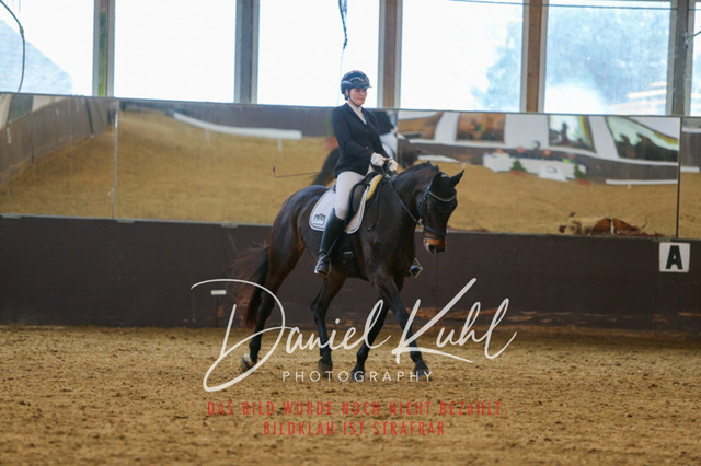 IMG_7807 | Turniersportfotografie; Pferdefotografie; Dressurfotografie