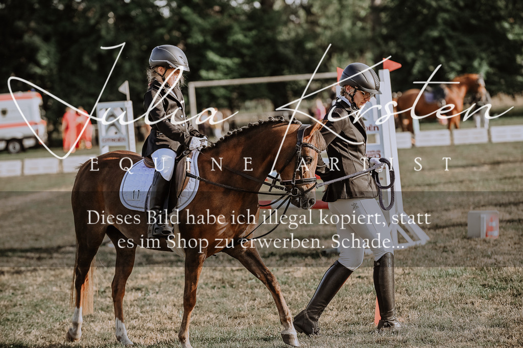 DSC_0096 | Pferde- und Turnierfotografie in Westsachsen. Pferdeportraits, Auftragszeichnungen und intuitive Kunst.