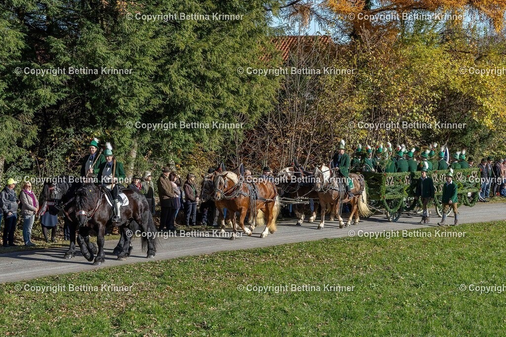 LBT25-351 | foto-bettina-krinner - Realisiert mit Pictrs.com