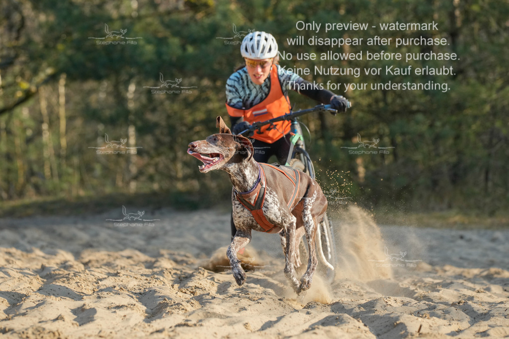 So_Scooter-78 | stephaniefillaphotographie - Realisiert mit Pictrs.com